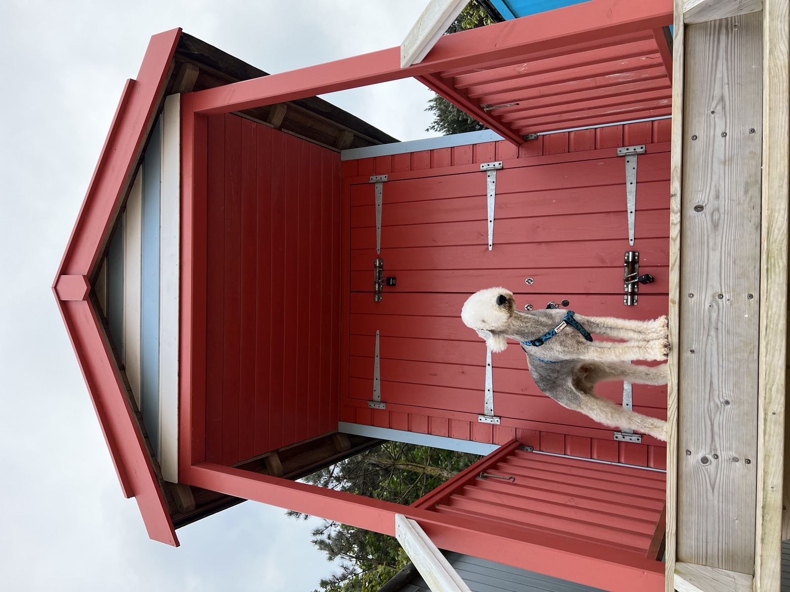 Gogo standing on the deck of a bright red beach hut, framed by its gabled porch