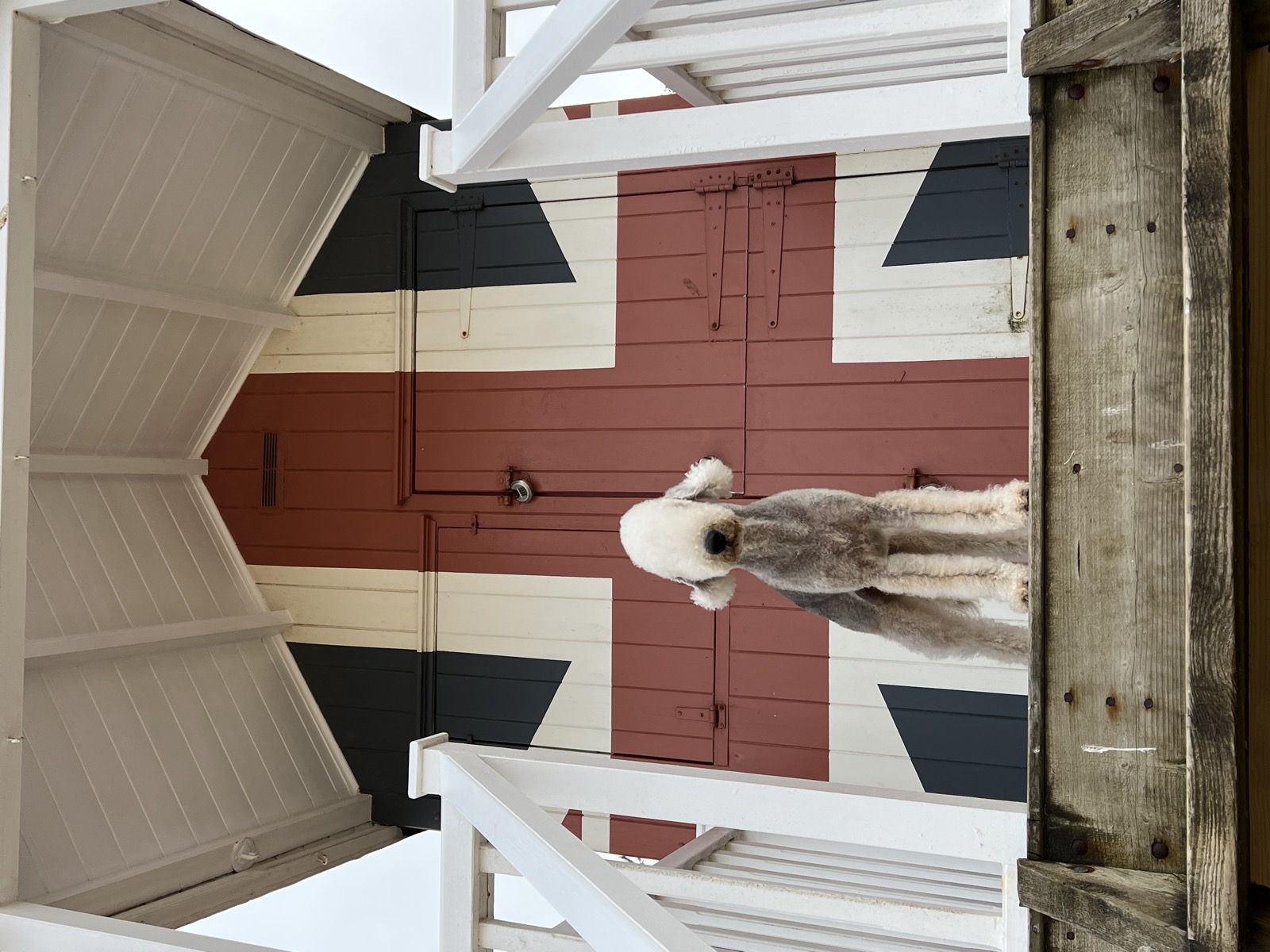 Gogo standing on a deck in front of a beach hut painted with a Union Jack